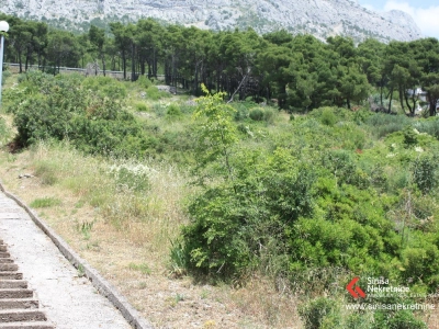 Zemljište u Brelima 1000 m2 u turističkoj zoni